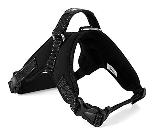 Safety Front Range No-Pull Dog Harness,3m Reflective Vest for Dogs Easy Control (NEOPRENE PADDED BLACK, MEDIUM)