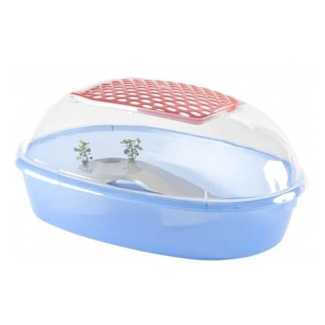 Duvo tortuguera Closed Sammy