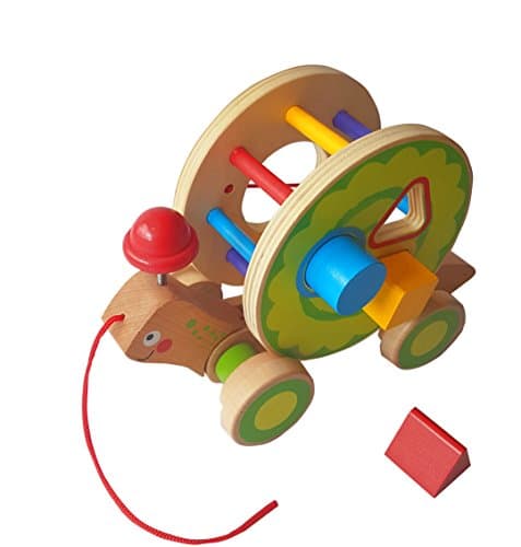 Jouéco – 80061 – Folder with Tortoise Design