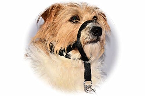 MALWERA BLACK STOPS PULLING COLLAR for PUPPY DOG TRAINING Head Muzzle Halter Halti Clip On (1)