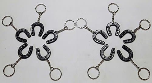 10 Lucky Horseshoe Keychains