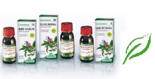 Gemmosol 15 Carpino 50ml Mg