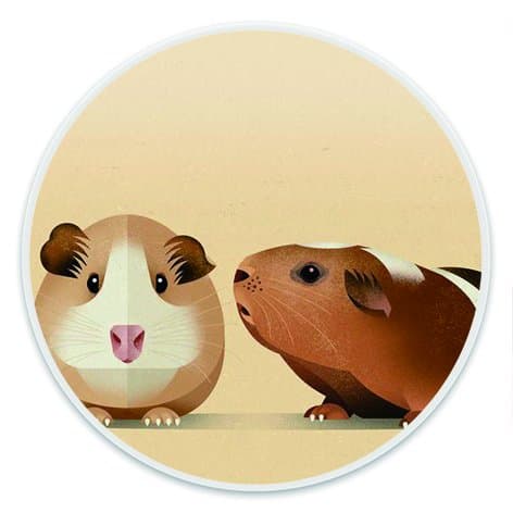 Vintage Multi-Function Pop Out Phone Grip and Stand, Socket Mobile Holder for All Smartphones &amp; Tablets - Guinea Pig White