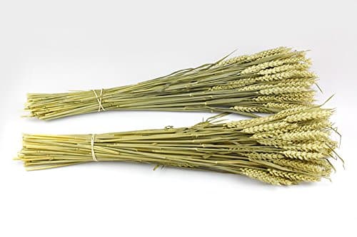 2 X DRIED 100% NATURAL WHEAT BUNCHES BRITISH GROWN