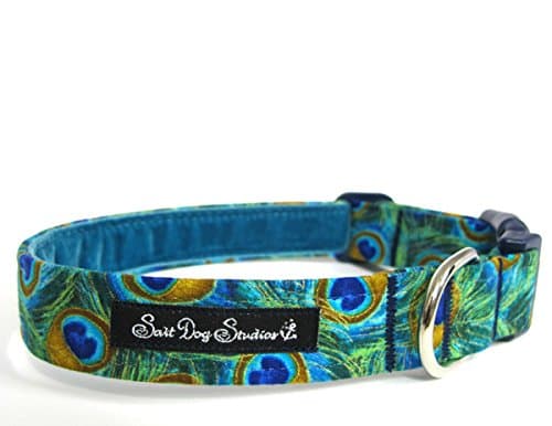 Peacock Dog Collar Medium 12-19" 1" Width