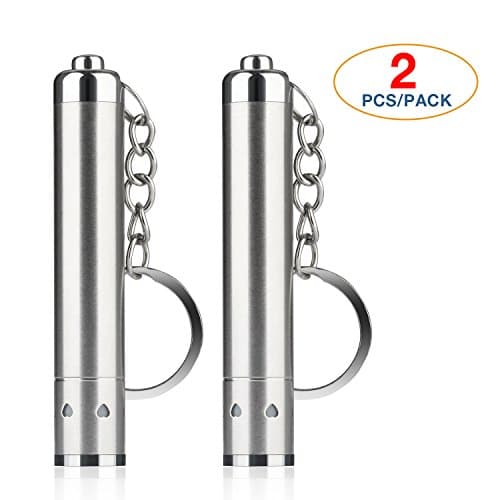 BENGIX LED Super Bright Key Ring Torch Portable Keychain Flashlight ,Silver, 2pcs/pack
