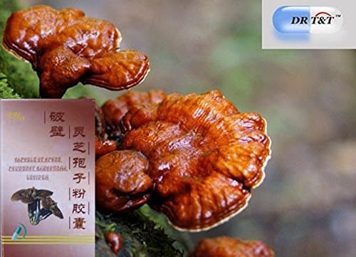 DR T&T lingzhi / Ganoderma Spore shell broken capsules x 50 capsules
