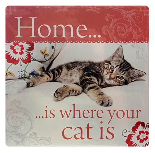 Kitchen Towels Home is Where Your cat is