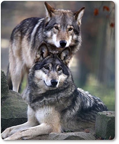 Mousepad/Mouse Pad - Wolf Wolf Animals Gray Two Juxtaposed [09]