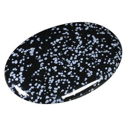 GeoFossilsSnowflake Obsidian Palm Stone