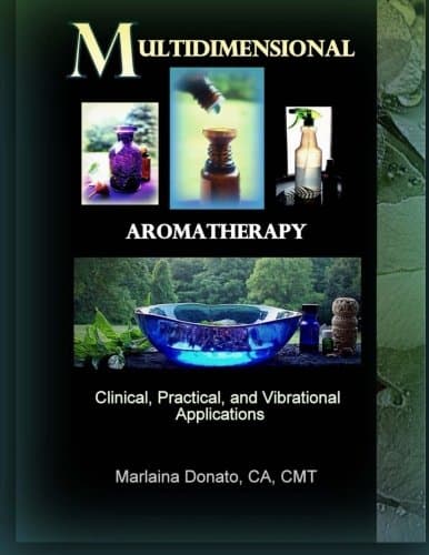 Multidimensional Aromatherapy: Clinical, Practical, and Vibrational Applications