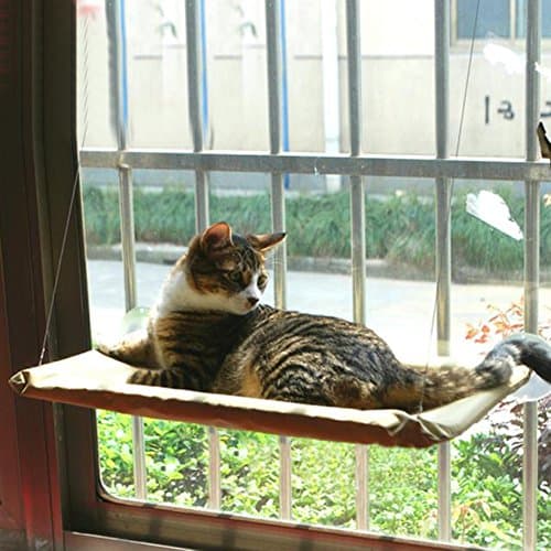 Cat Window Perch Hammock Cat Bed - Sunny Seat Window Kitty Resting Pet Bed - Safety Window Mounted Perch Cat Shelves Hold up 33 lb - Dracarys