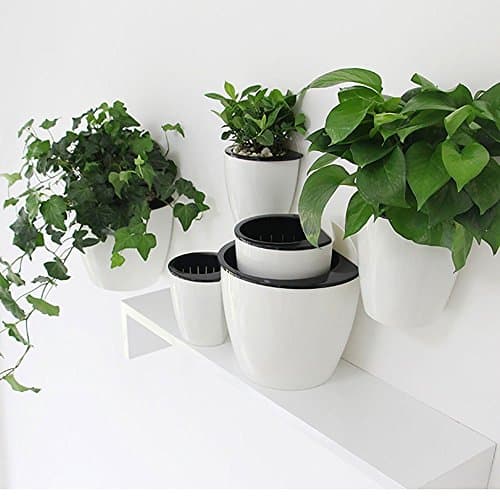 Sungmor Gardening 1pc Pack Multipurpose Creative Vertical Hanging Planter,Self Watering Flowerpot, Wall Mounted Plants Holder w/ Store Water Function，Perfect for Home or Office Decoration