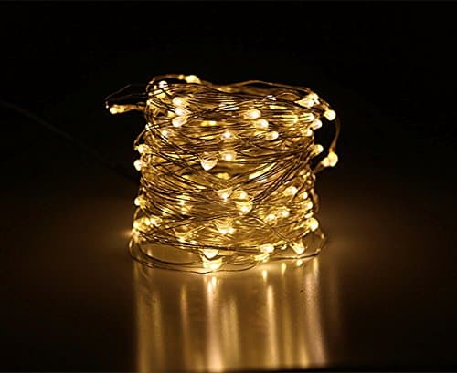 LEDLuces 10M/33ft 100 LEDs String Lights, USB Powered Low Voltage Waterproof Starry Fairy LED String Lights for Indoor Outdoor Decoration - Silver Wire(Warm White)