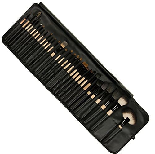 Blush Professional - Ultimate Makeup Brush Set (30 Piece)