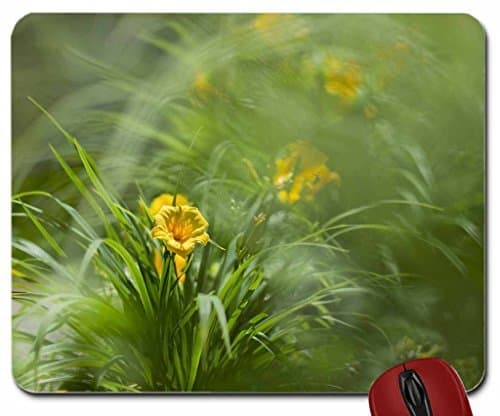 Evil Eye - Throw Pillow Cover Case (16" x 16")