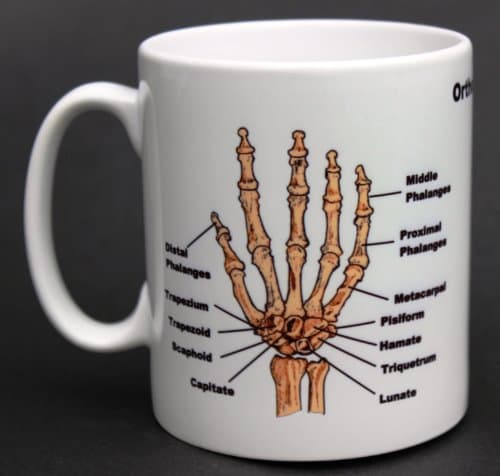 Medical Student Skeleton Orthopedics Mug
