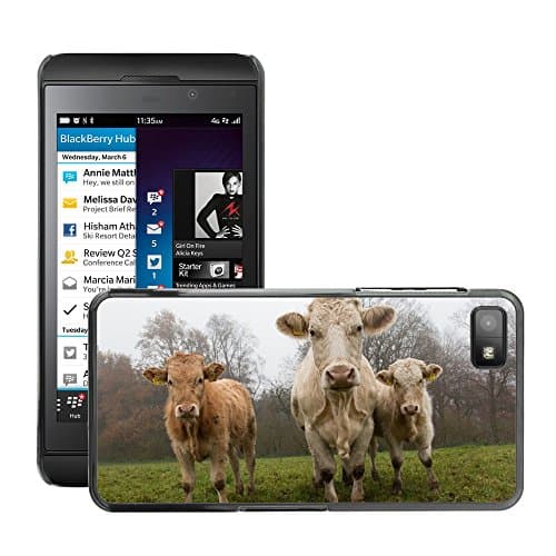 Super Stellar Slim PC Hard Case Cover Skin Armor Shell Protection // M00125854 Cows Kuhwiese Calf Organic Farming // BlackBerry Z10