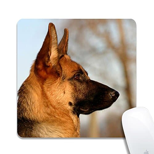 Square Custom Mouse Pad, Glacier, Printed Computer Mouse Mat Designed to Meet the Needs of the client, Comfortable Non-slip Rubber (7,87x7.87inch) Rectangle 15