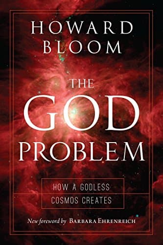 God Problem, The: How a Godless Cosmos Creates