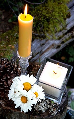 Honey Candles Pure Beeswax 6" Column Single Pack