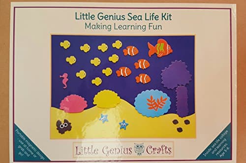 Little Genius Sea Life Kit