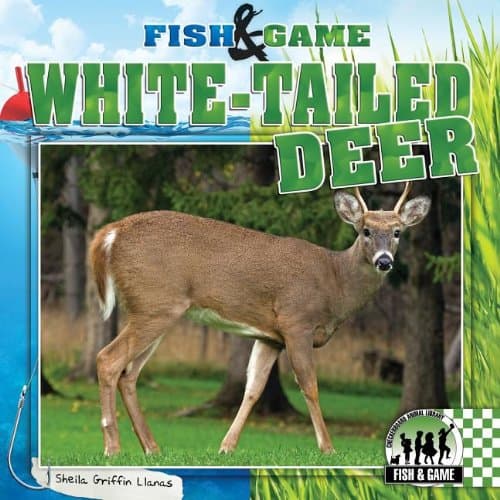 White-Tailed Deer (Fish &amp; Game)
