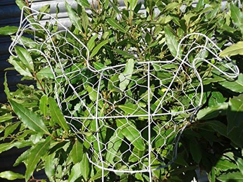 forestfox Chicken Topiary Frame. Two sections with Ground Spikes. 45cm. Plant Grow Support