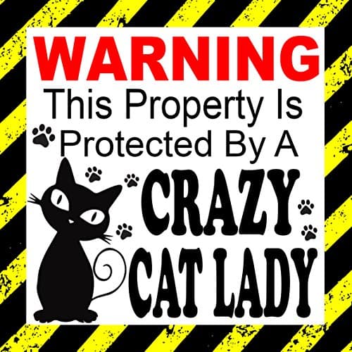 Warning This property is protected by a Crazy Cat Lady - Car, Window, Door ect Sticker