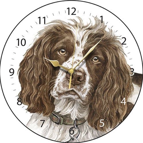 Springer Spaniel Dog Gift - Beautiful Quality 28cm Boxed Wall Clock, made in the UK. Makes a wonderful gift.