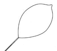 2336662 Snare Poly Oval Singular 2.3mm Large 10 Per Case sold as Case Pt# 977 by Conmed Corporation