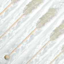 12 Pack Espeez Rock Candy Sticks Clear White