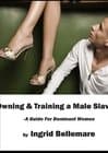 Owning and Training a Male Slave