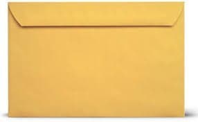 6 x 9 Brown Kraft Envelopes Booklet-Open Side Envelopes-50 Pack (Brown Kraft)