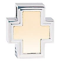 ASH IN PENDANTS -Small Cross TS-603YG