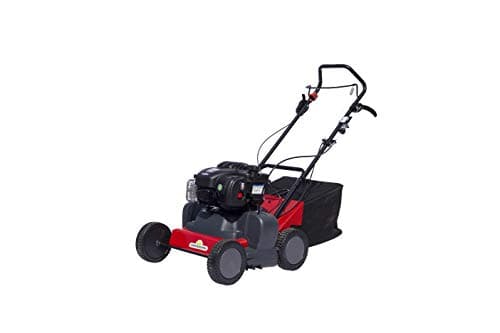 42 cm width, BRIGGS & STRATTON OHV Engine 125 cc Scarifier