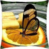 Vitamin C - Throw Pillow Cover Case (18