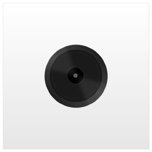 Swan Rave by Staccato