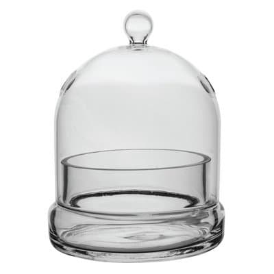 Terrarium Cloche Planter