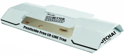 Intruder 21000 The Better Insectrap, 4-Pack