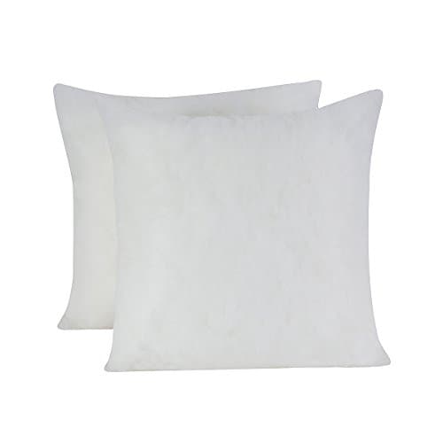 HOMESJUN Set of 2, Square Decorative Poly Throw Pillow Insert, Standard/White, 20x20Inch
