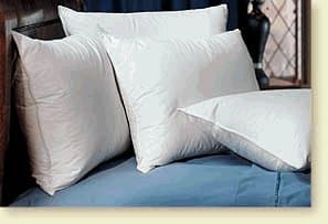 Pacific Coast Touch of Down Standard Pillow
