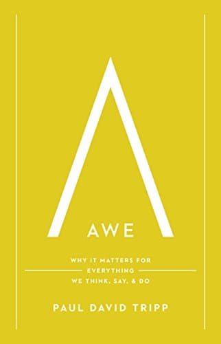 Awe: Why It Matters for Everything We Think, Say, and Do Hardcover – 31 Oct 2015