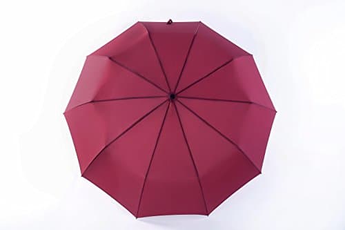 LLREAM Windproof Umbrellas Auto Open Close For One Hand Operation Won't Break If Inverted (Red)