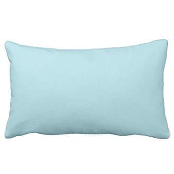 Powder Light Aqua Blue Solid Color Background Custom Soft Pillowcase Zippered Pillow Case-16"x24" (Twin Sides)