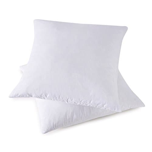 Set of 2, 95% Feather 5% Down Square Decorative Throw Pillow Insert, Cotton Cover, 24x24 Inch