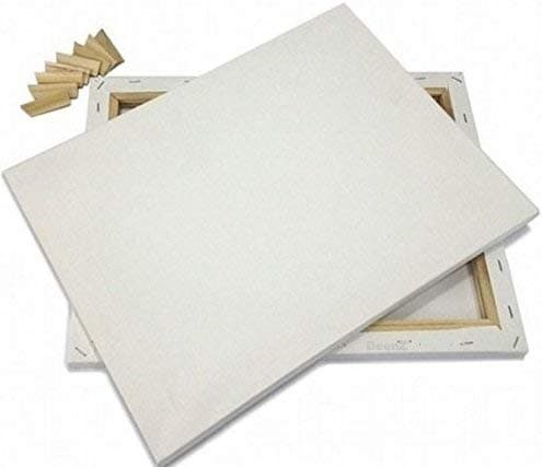 DEENZ Artists Blank Stretched Canvas 's, Premium Quality Great for the Use of Oils and Acrylics artists sketch paint 9 Sizes (60x90cm (pack of 2))