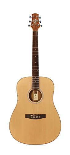 Ashton D20 Dreadnought Acoustic Guitar