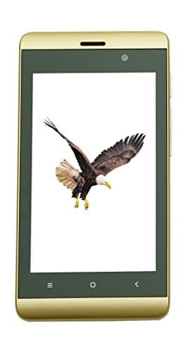 Videocon Starr 100 (1 GB RAM + 8 GB ROM) Volte