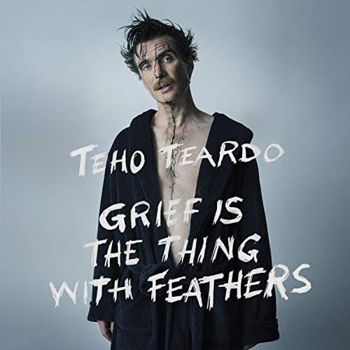 Grief Is A Thing With Feathers